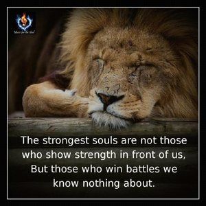 Meet your Posher, Cari-lynn